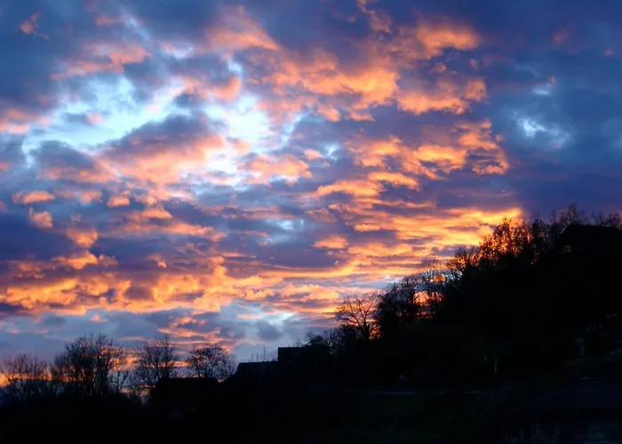 Mayen2003 Anzere Guest house Ayent